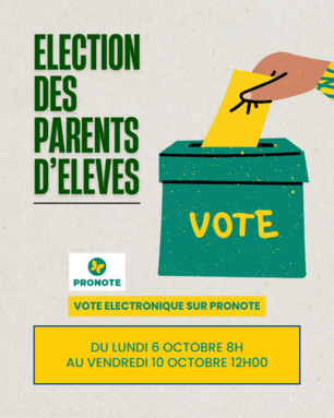 Blue Yellow  Election Literacy Campaign Instagram Post.png
