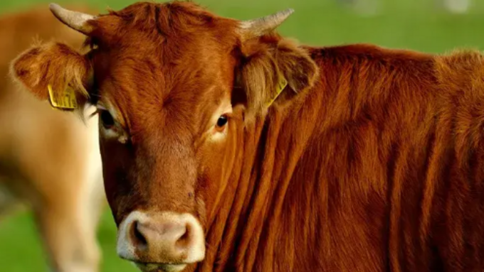 Capture d’écran 2026-02-13 162557.png